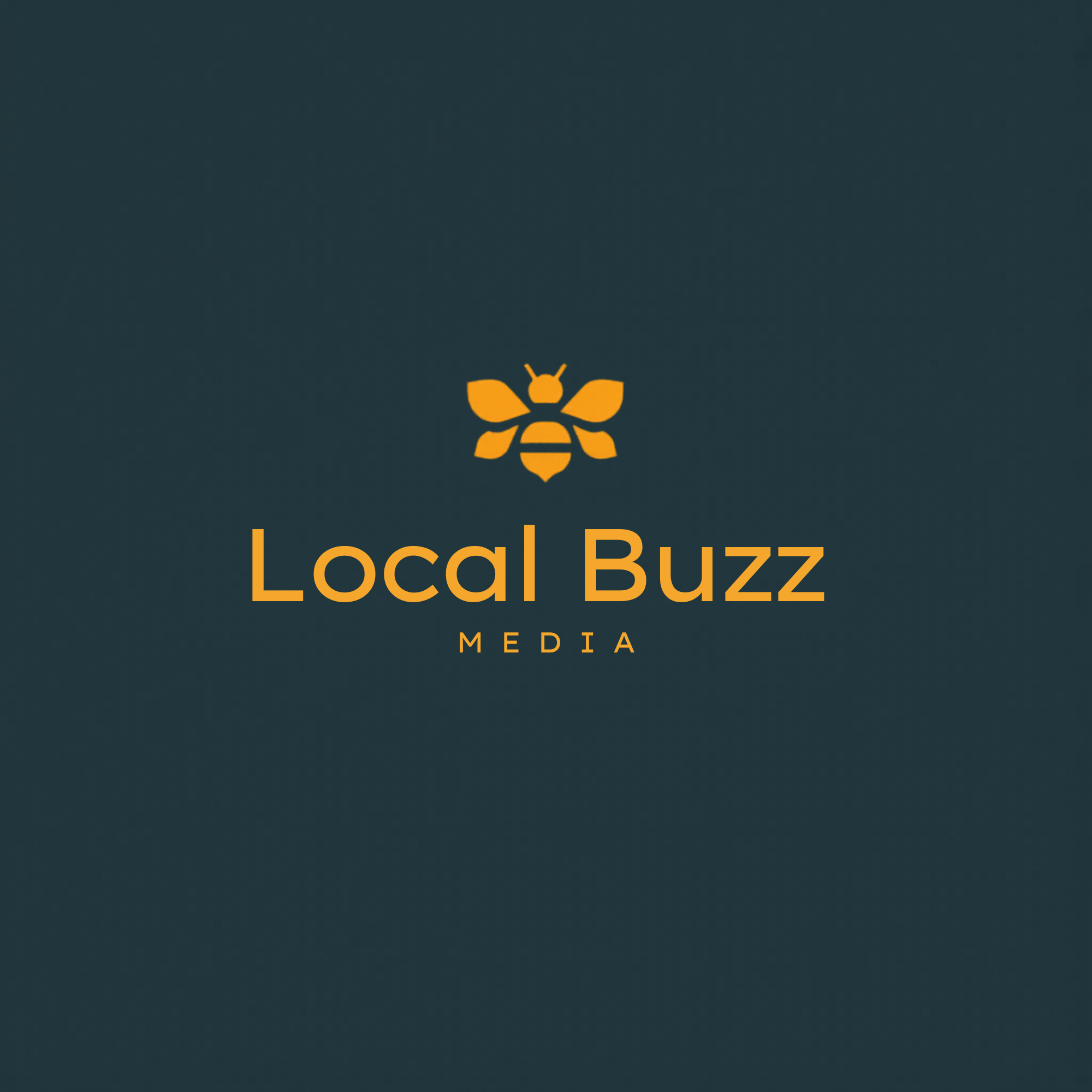 LocalBuzz Media logo